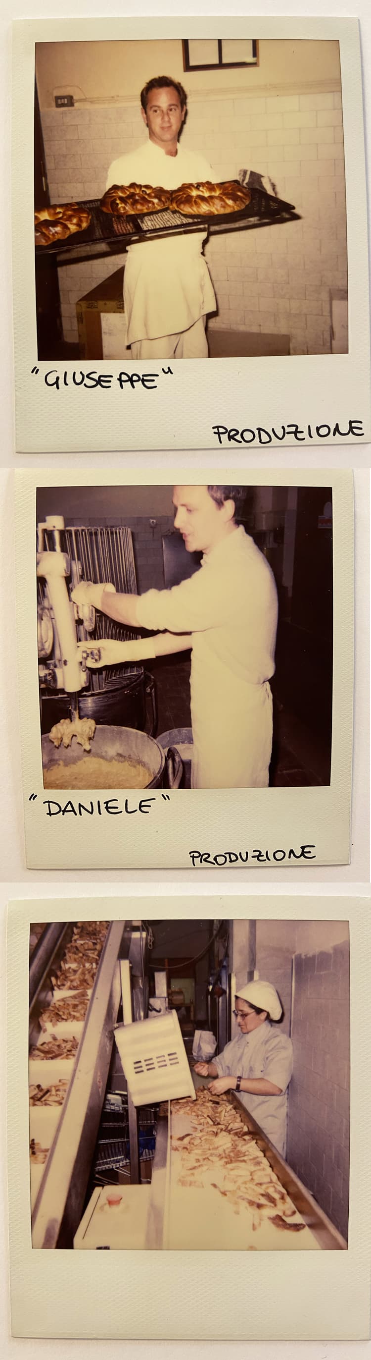 Polaroid 2001